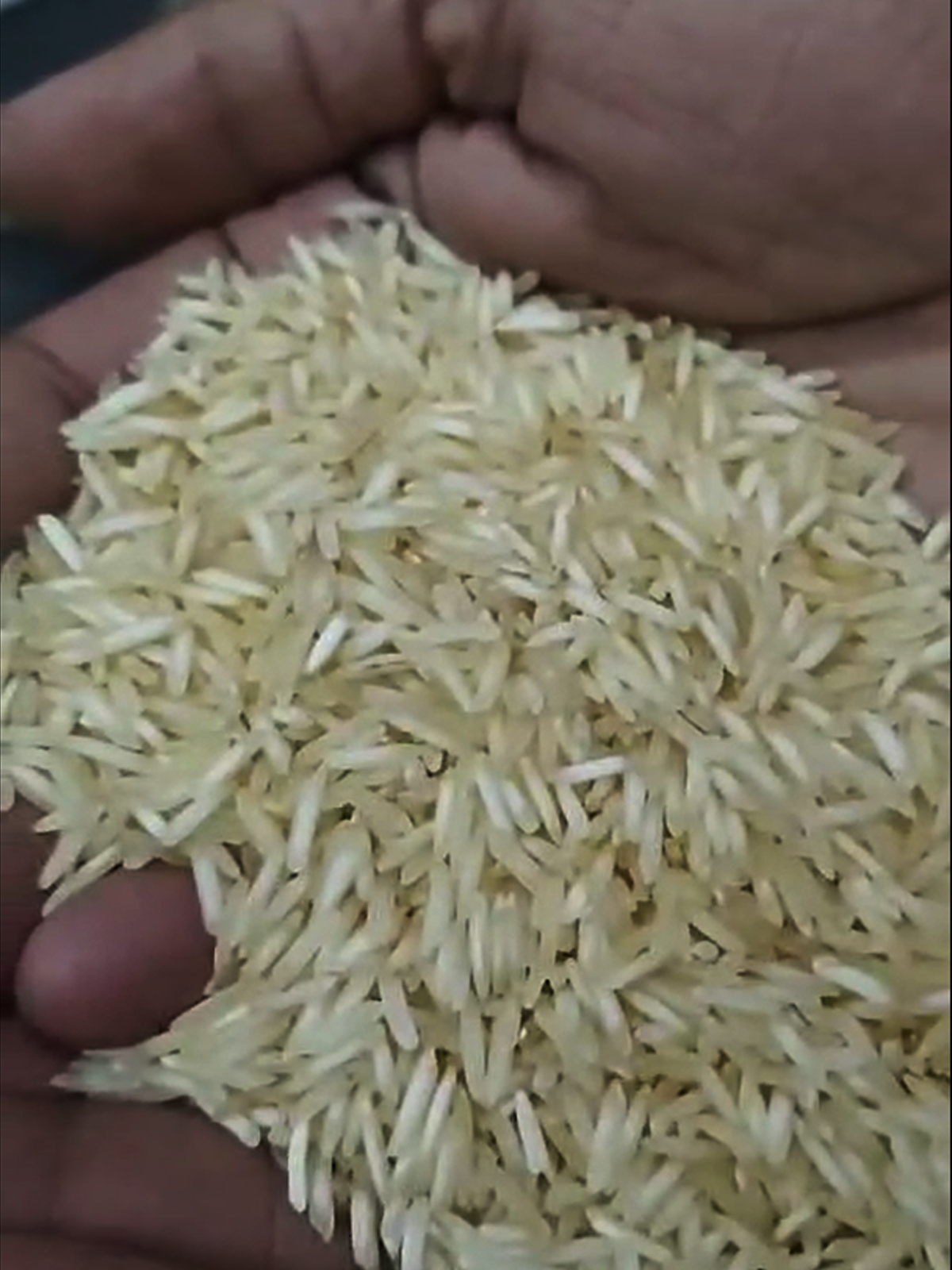 Bulmex Rice ATLANTIC IMPEX